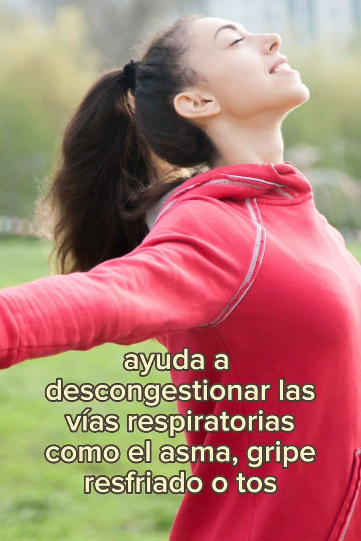 Conocé la hierba medicinal que se puede consumir con el mate y que te ayuda a potenciar la memoria