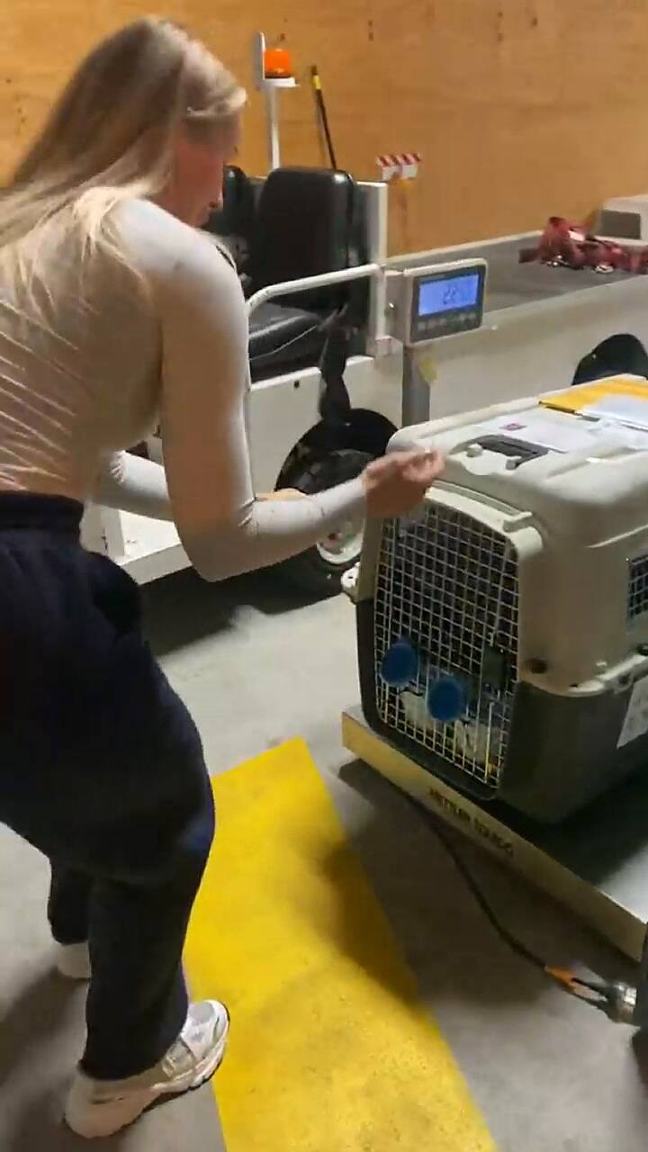 El reencuentro que emocionó a todos