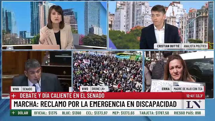 Discapacidad: marcha en el Congreso