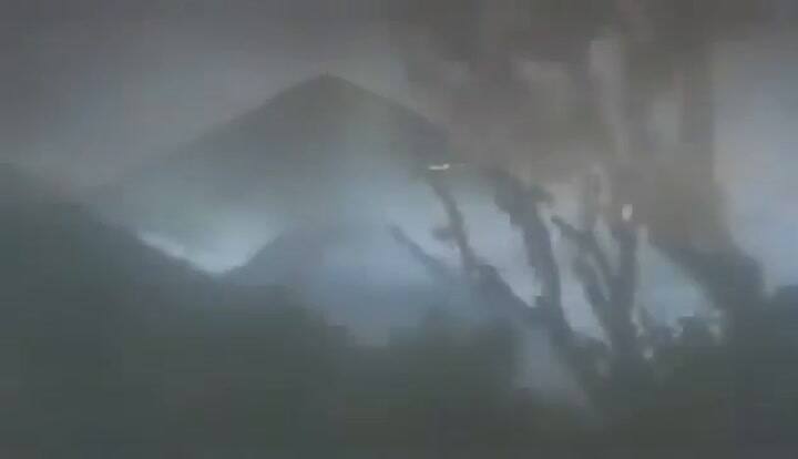 Gorilas en la Niebla - Trailer Subtitulado