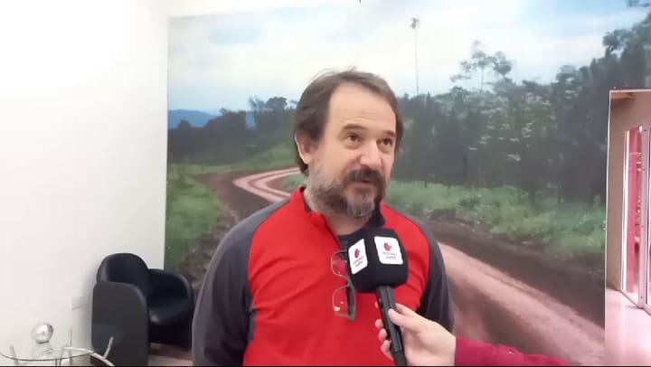 Rana llorona Misiones