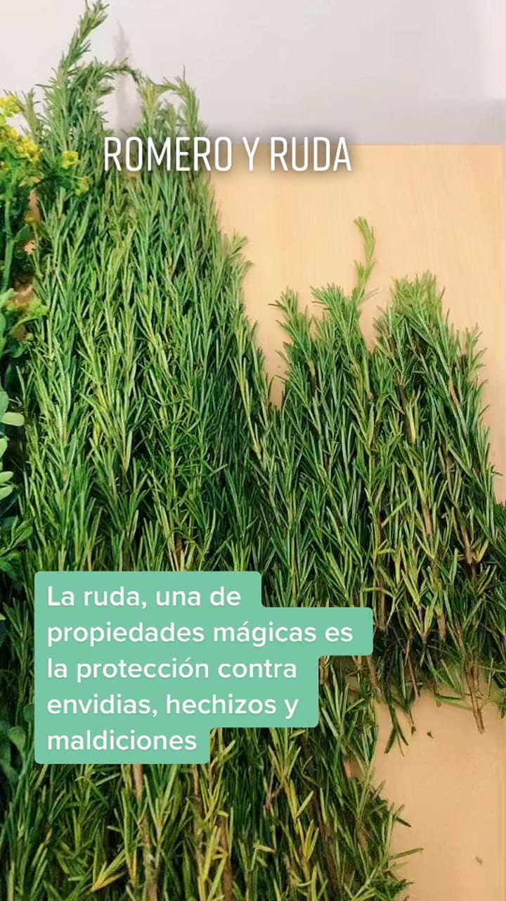 Ruda y romero