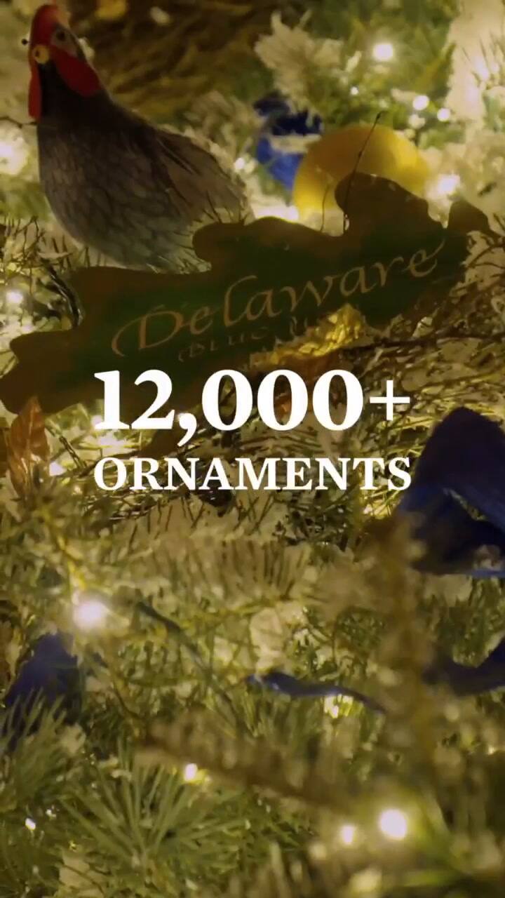 La Casa Blanca muestra su decoración de Navidad