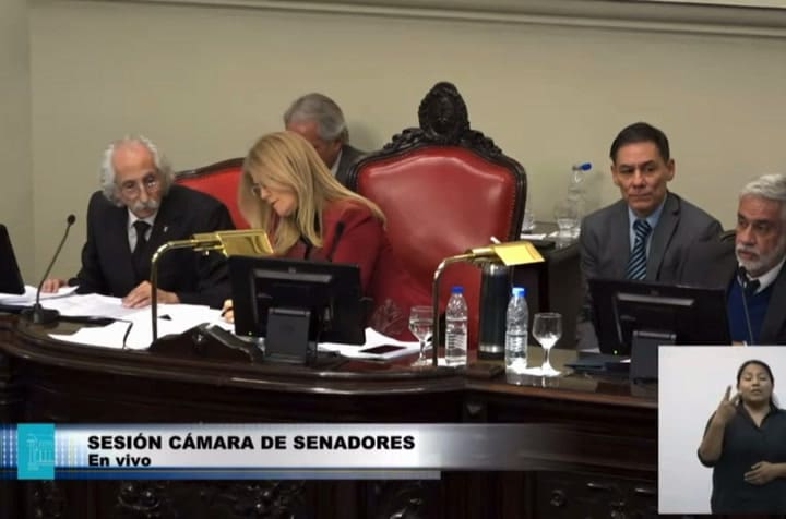 El momento en el que Verónica Magario desempata la votación en el Senado