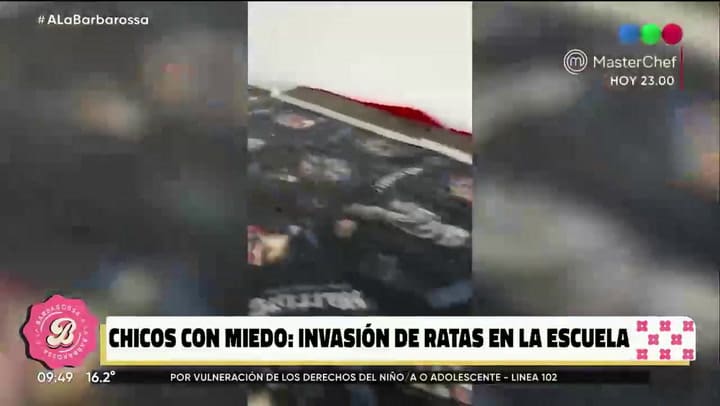 El desatinado comentario de Analia Franchin durante un móvil con padres que reclaman por la presencia de ratas en escuelas