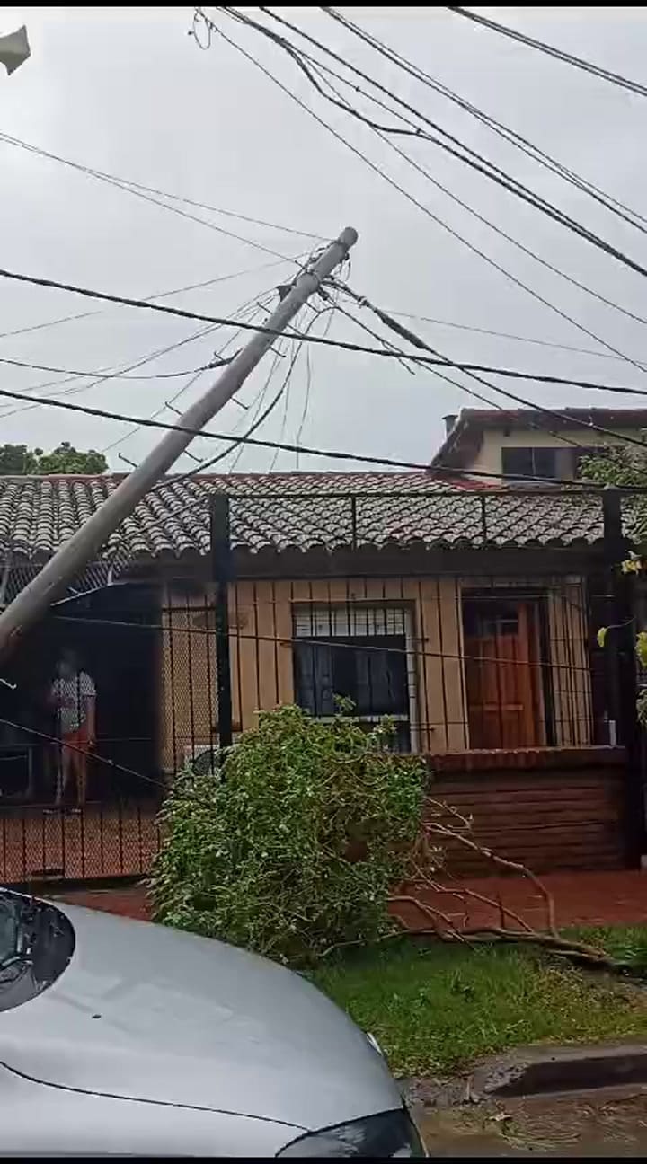 Un árbol cayó sobre su casa y estuvieron 14 horas para poder salir