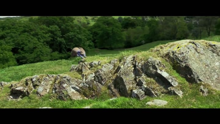 Trailer de 'Peter Rabbit'