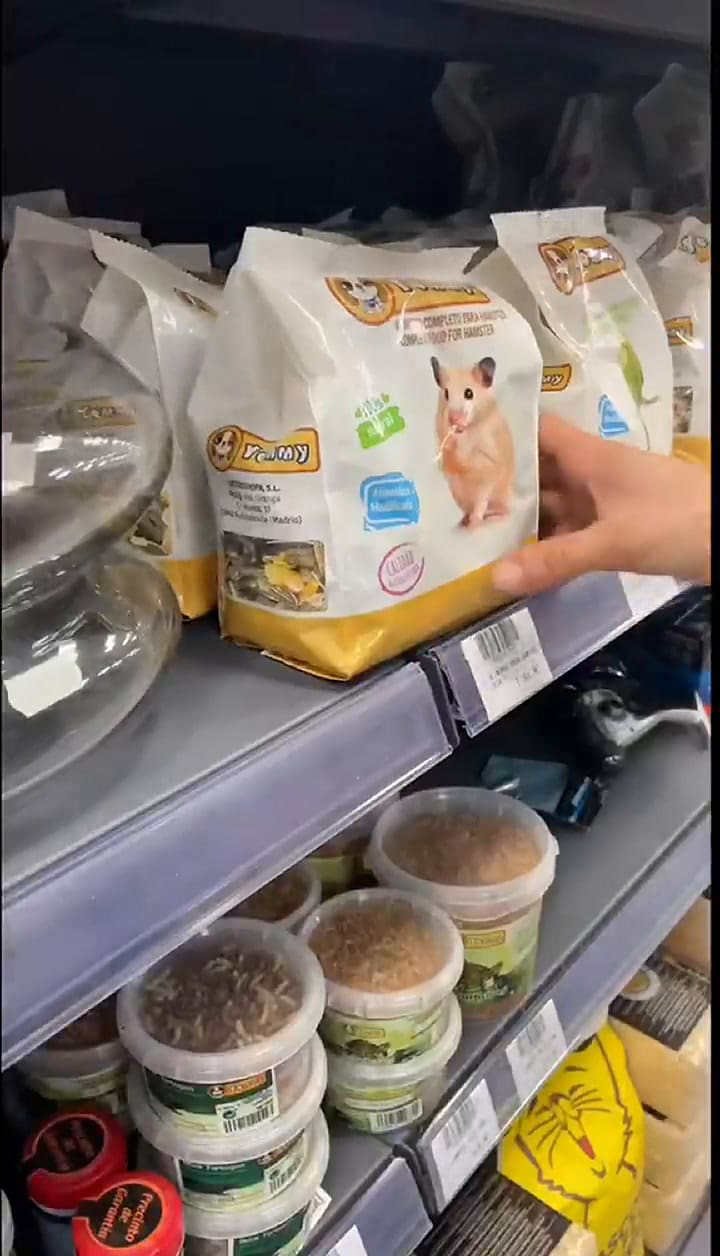 La pareja adoptó a la pequeña invasora como un miembro más de la familia.