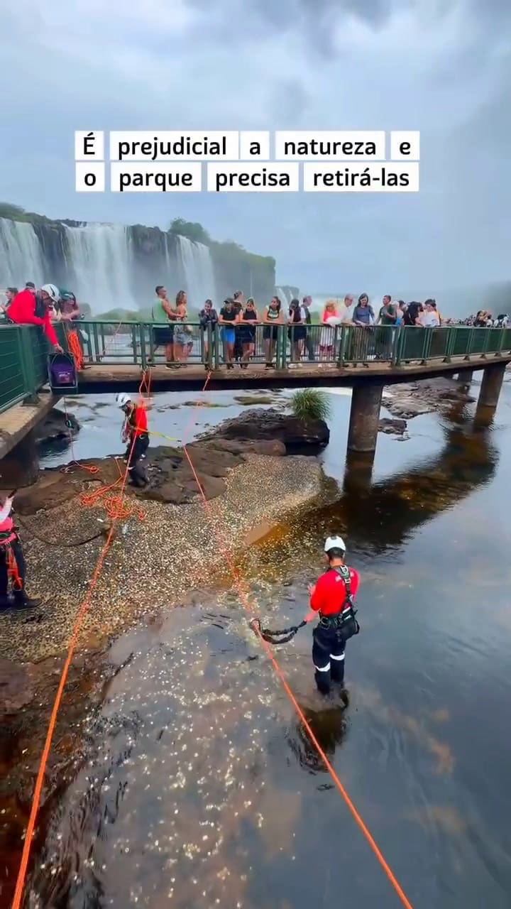 Limpieza histórica en Iguazú: retiraron más de 400 kilos de monedas del lecho del río
