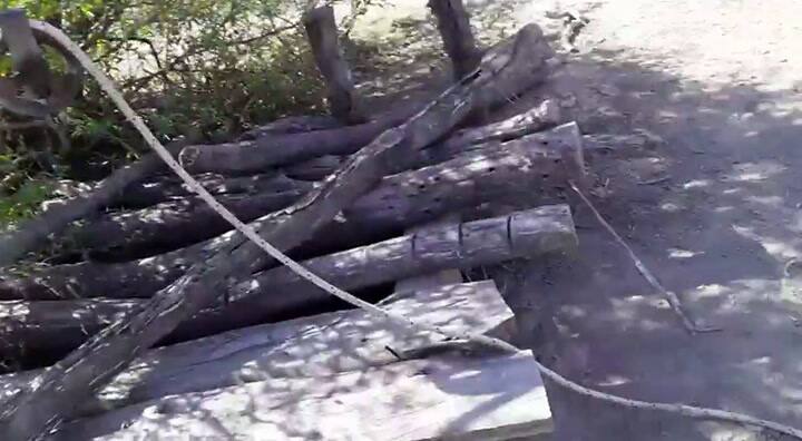 El estado en el que se encuentra el ganado de su finca