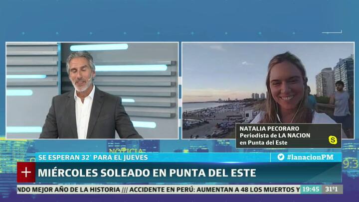 Punta del Este para principiantes: manual para ubicarse y aprovechar la ciudad