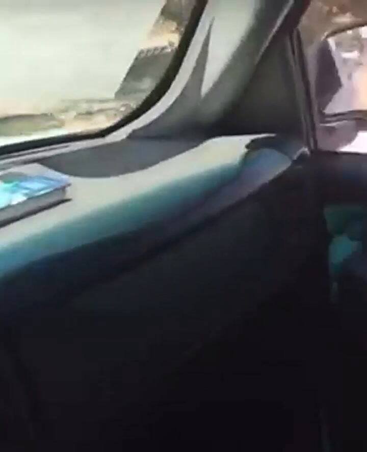 Grabaron a una mujer paseando a tigre de bengala en calles de México