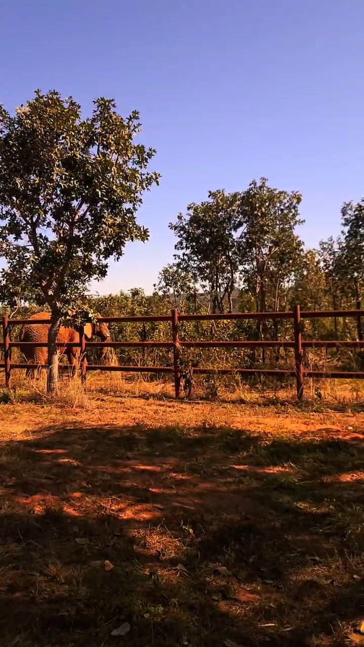 Kenya recorre el santuario