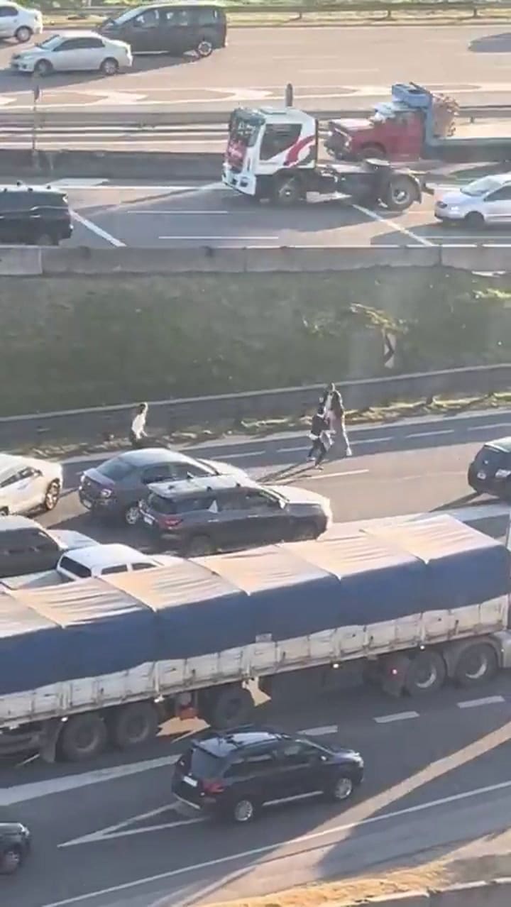 La pelea salvaje entre dos hombres en Panamericana