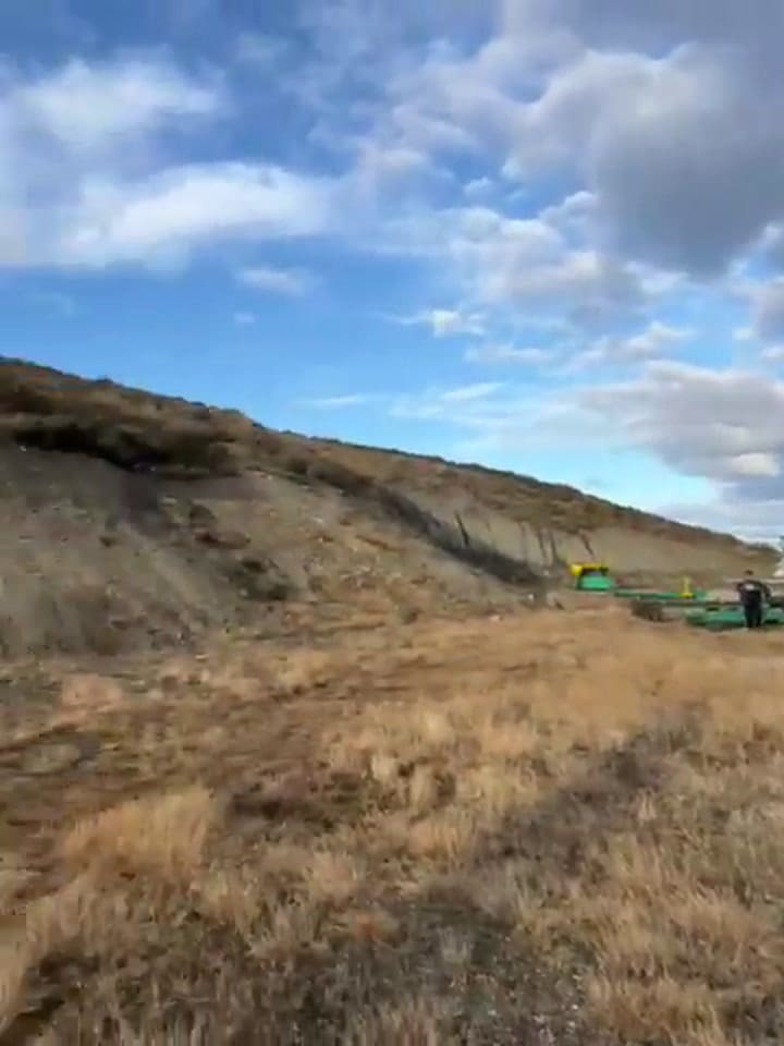 Amenaza de bomba en un avión de Aerolíneas: Marcelo Polino y Carmen Barbieri eran dos de los pasajeros