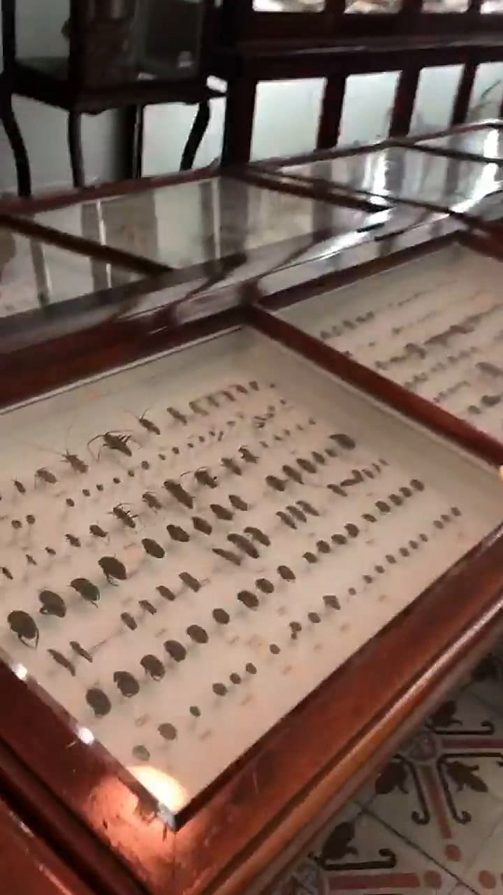 El museo de Ciencias Naturales del Colegio San José