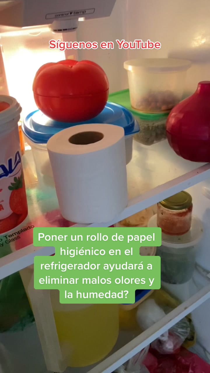 Truco Casero Para Que El Refrigerador No Huela Mal #Sabiasque #Trucoscaseros #Trucosdecocina #Viral #Parati #Limpiarlacocina #Trucosdelimpieza #Malolor #Fyp