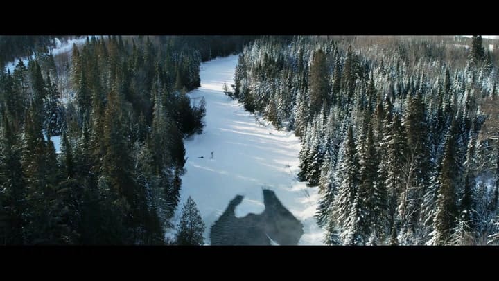 Crisis (2021) Tráiler Oficial Subtitulado Película Con Gary Oldman Y Evangeline Lilly