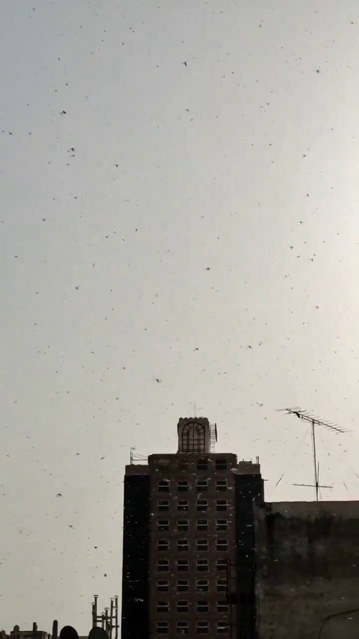 Ssstwitter.com 1722627872713