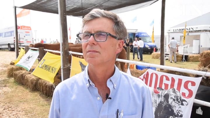 Expoagro 2020 - Martín García Fernández, vicepresidente de la Asociación Argentina de Brangus