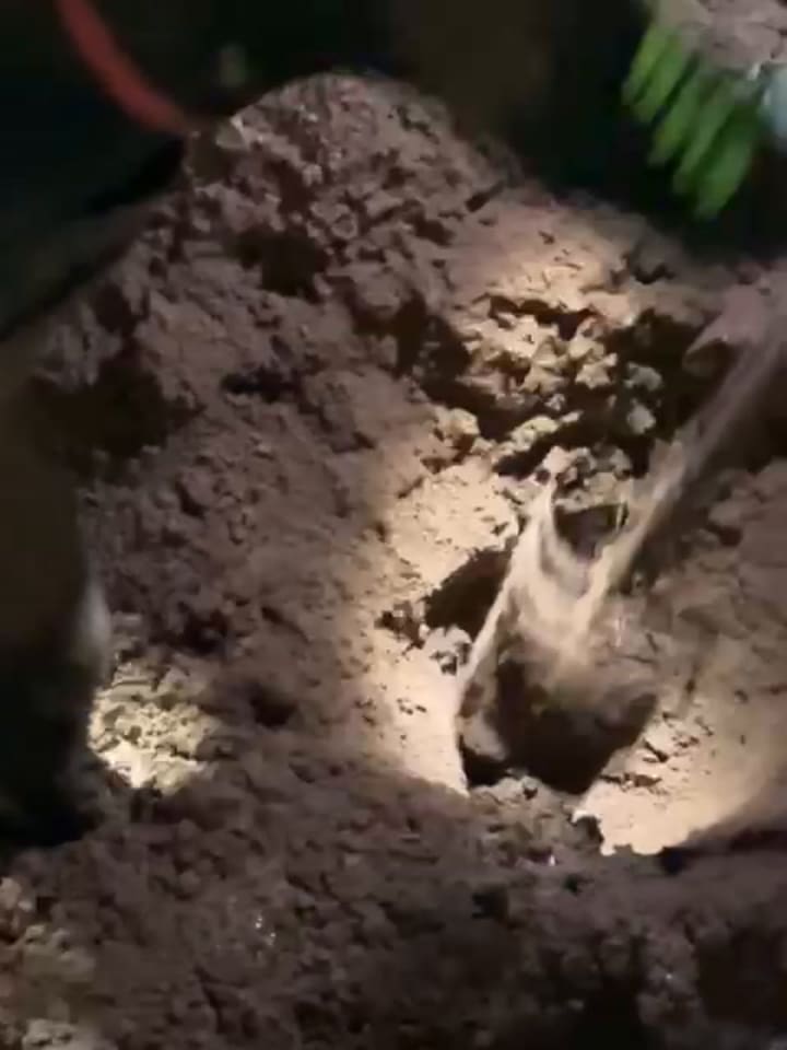 Descubren un túnel hecho para robar un banco