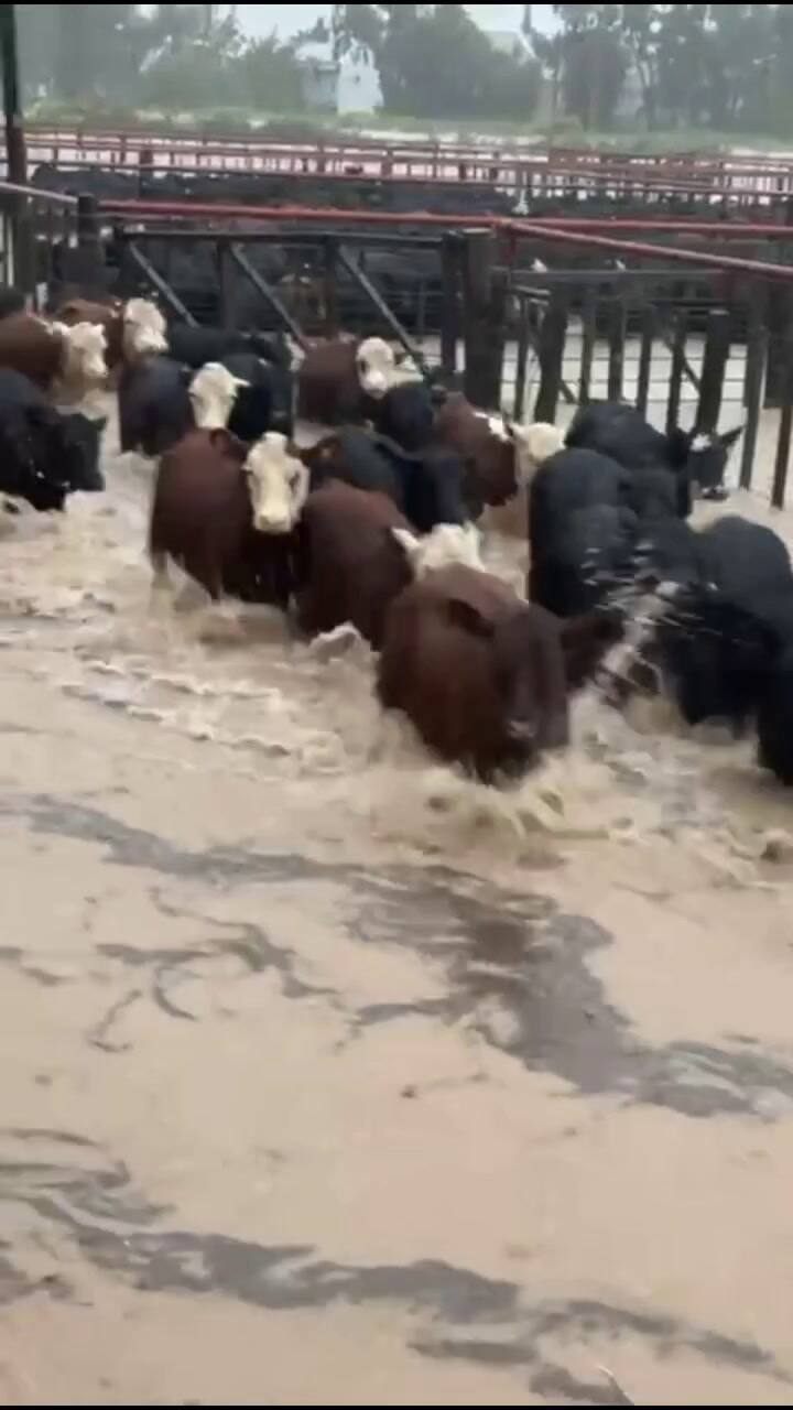 Las inundaciones en Bahía Blanca