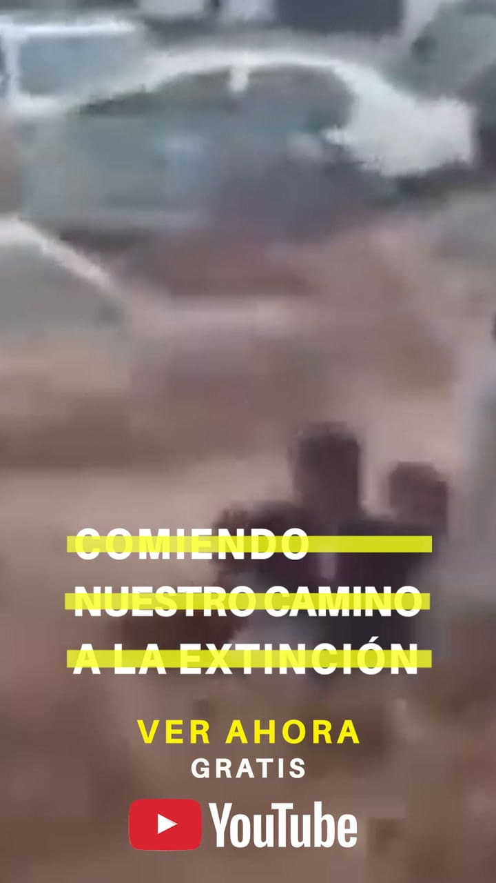 Trailer - Comiendo hasta extinguirnos - Los Datos