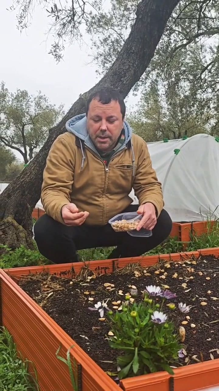 Cómo utilizar las cáscaras de pistacho en el jardín