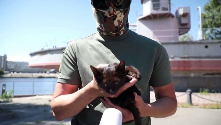 Snake' fue rescatado por soldados ucranianos en la Isla de las Serpientes