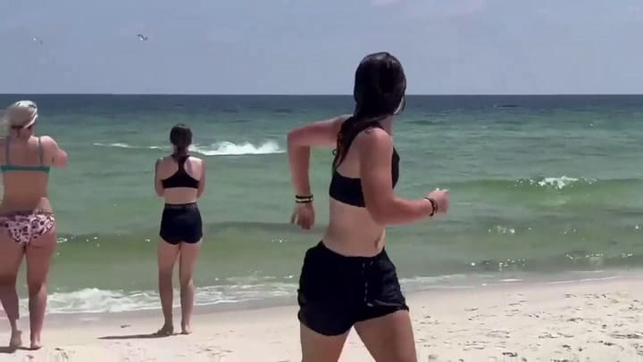 Un tiburón fue captado en la playa de Perdido, Florida