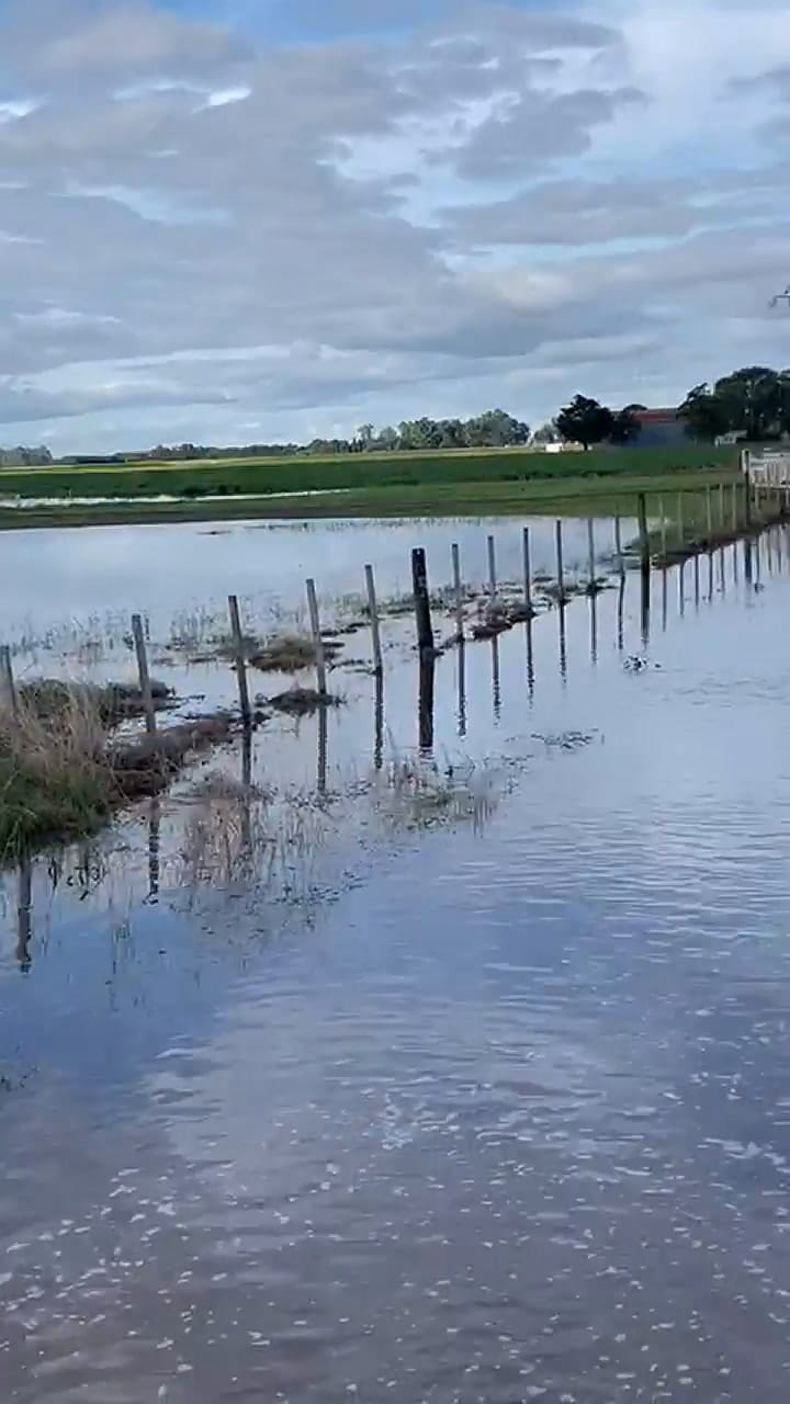 El aeroclub de General Viamonte, en Los Toldos, rodeado por el agua