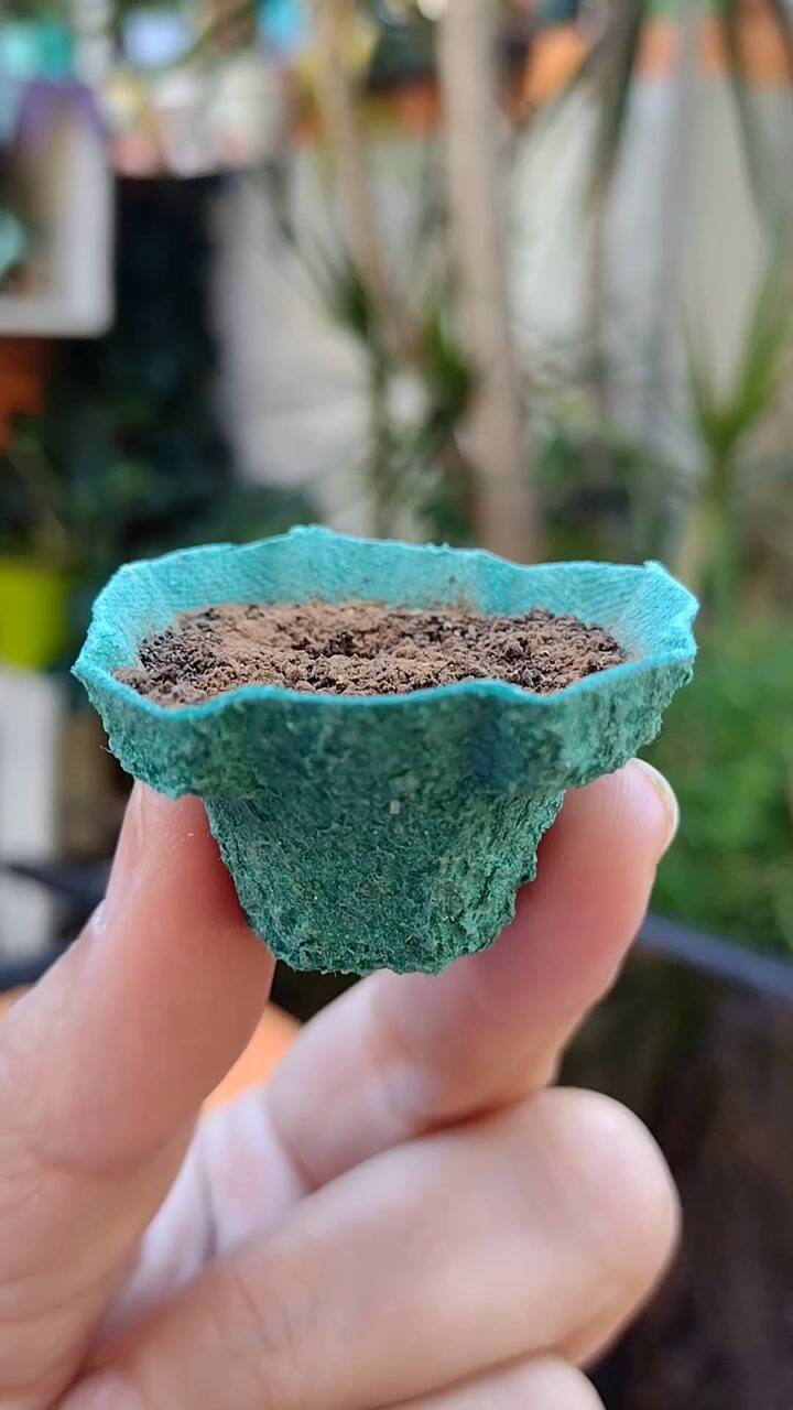 Saveinsta.app - 3213161624247514681