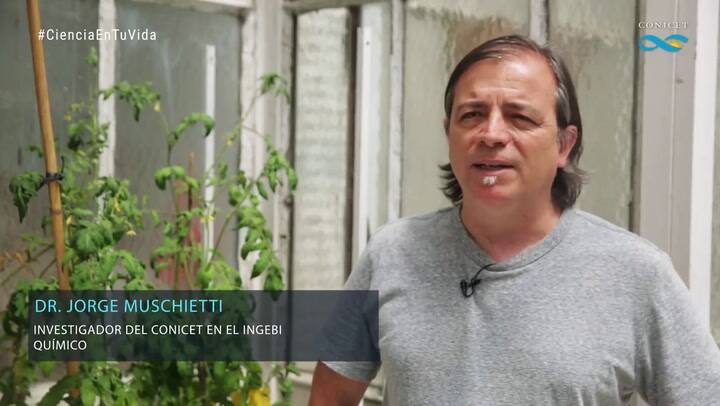 Investigadores argentinos y suizos identificaron una pieza clave en la fecundación de las plantas