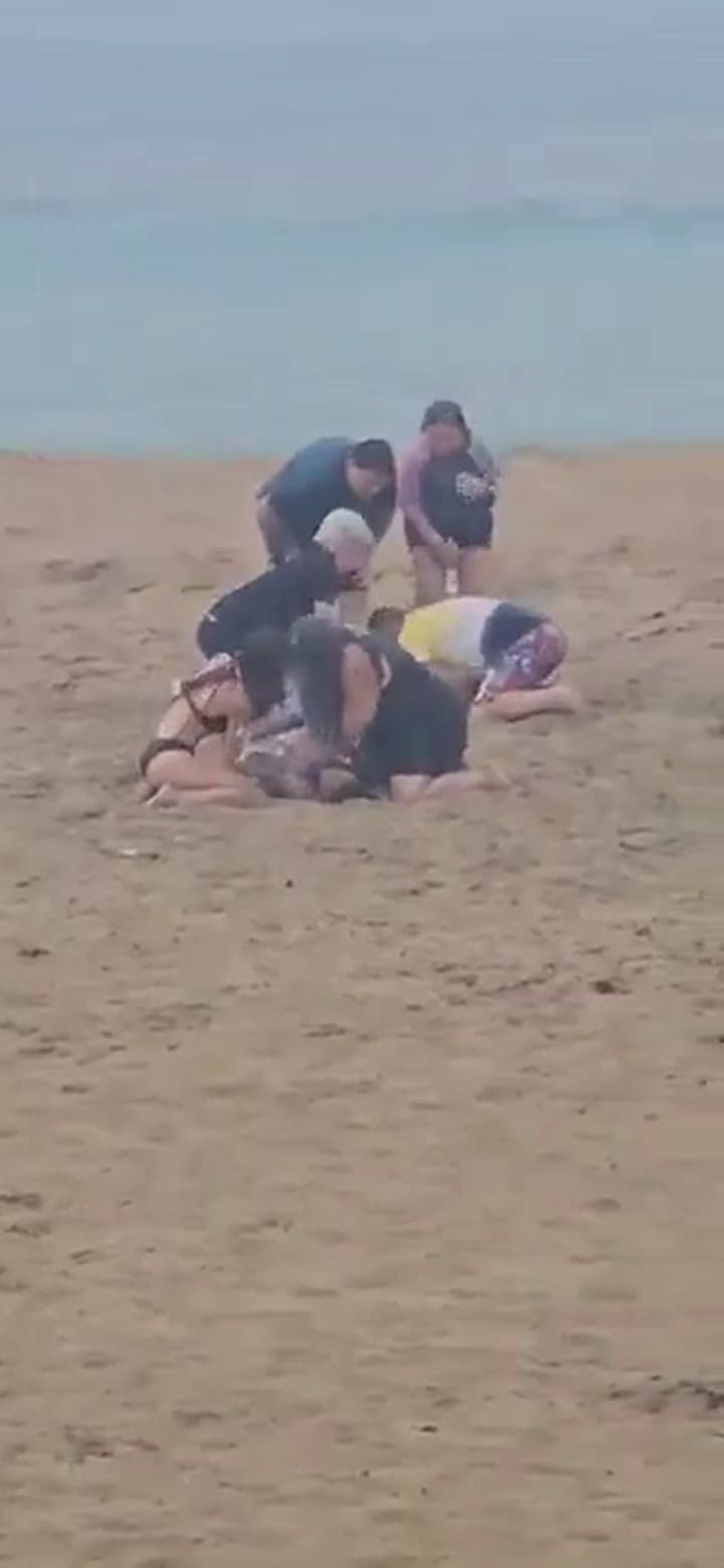 Twittervid.com Alertarojanot Af985d