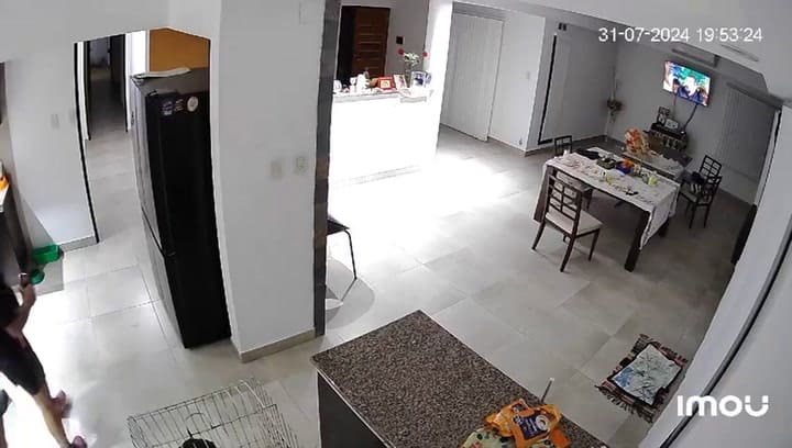 Le faltaban cosas de su casa y tras poner cámaras de seguridad descubrió que era un empresario vecino del mismo country