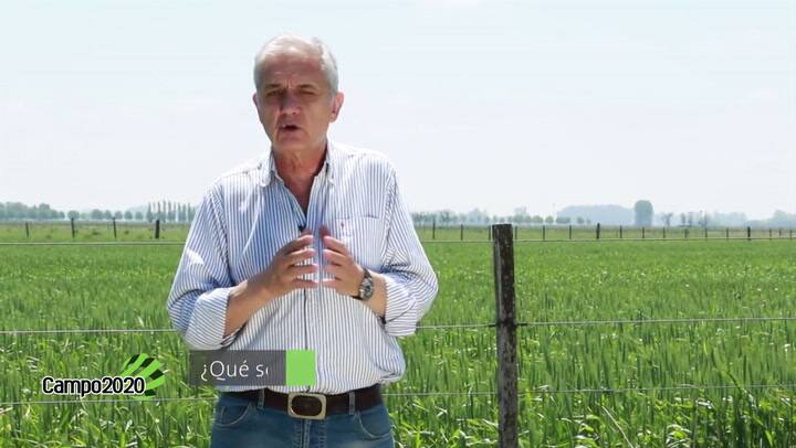 Las Buenas Prácticas Agrícolas hacen la diferencia