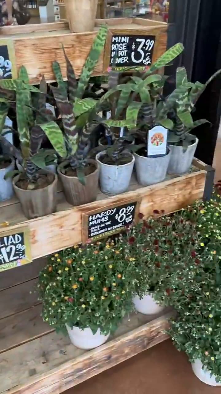 Así es por dentro el supermercado más viral de TikTok