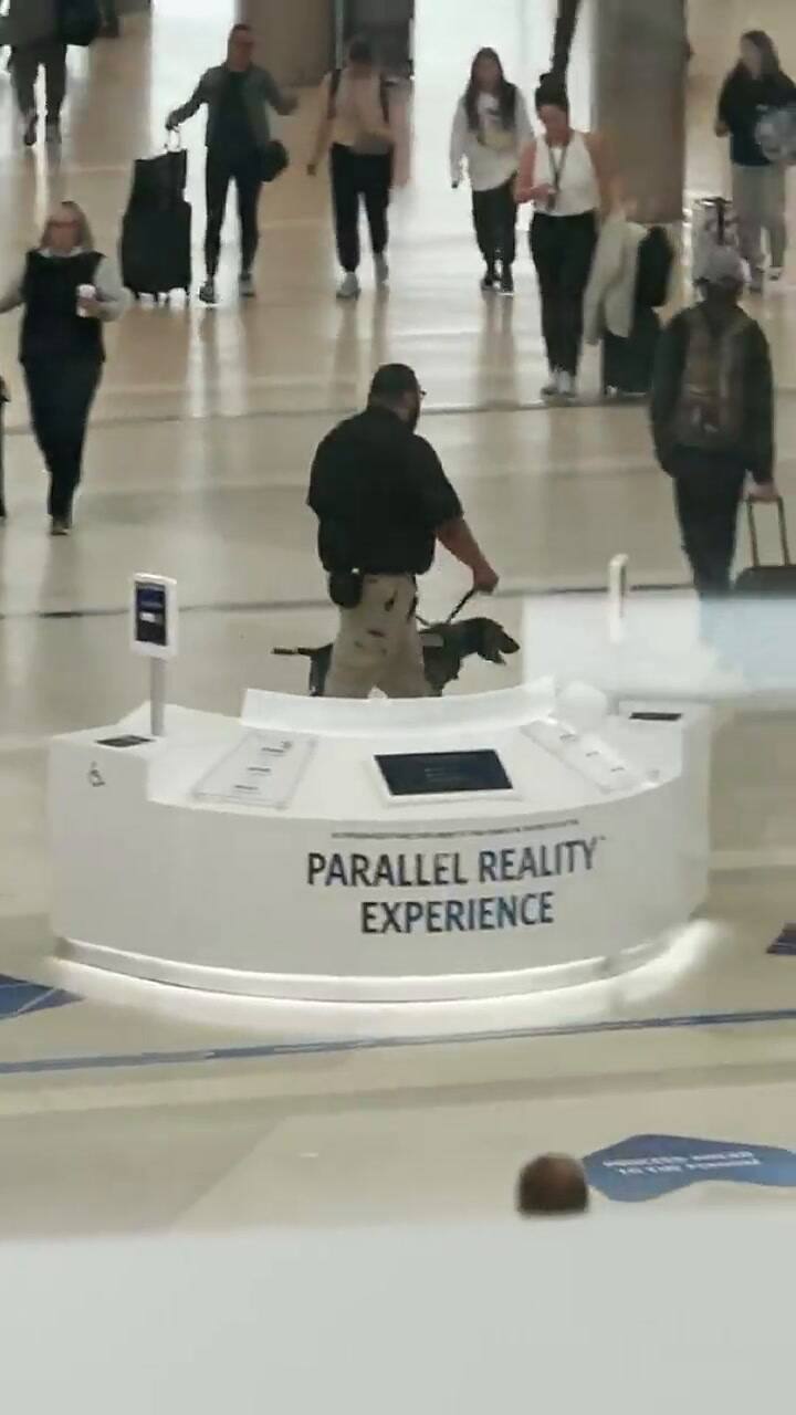 Un viajero grabó a un agente de la TSA que maltrataba a un perro detector de explosivos