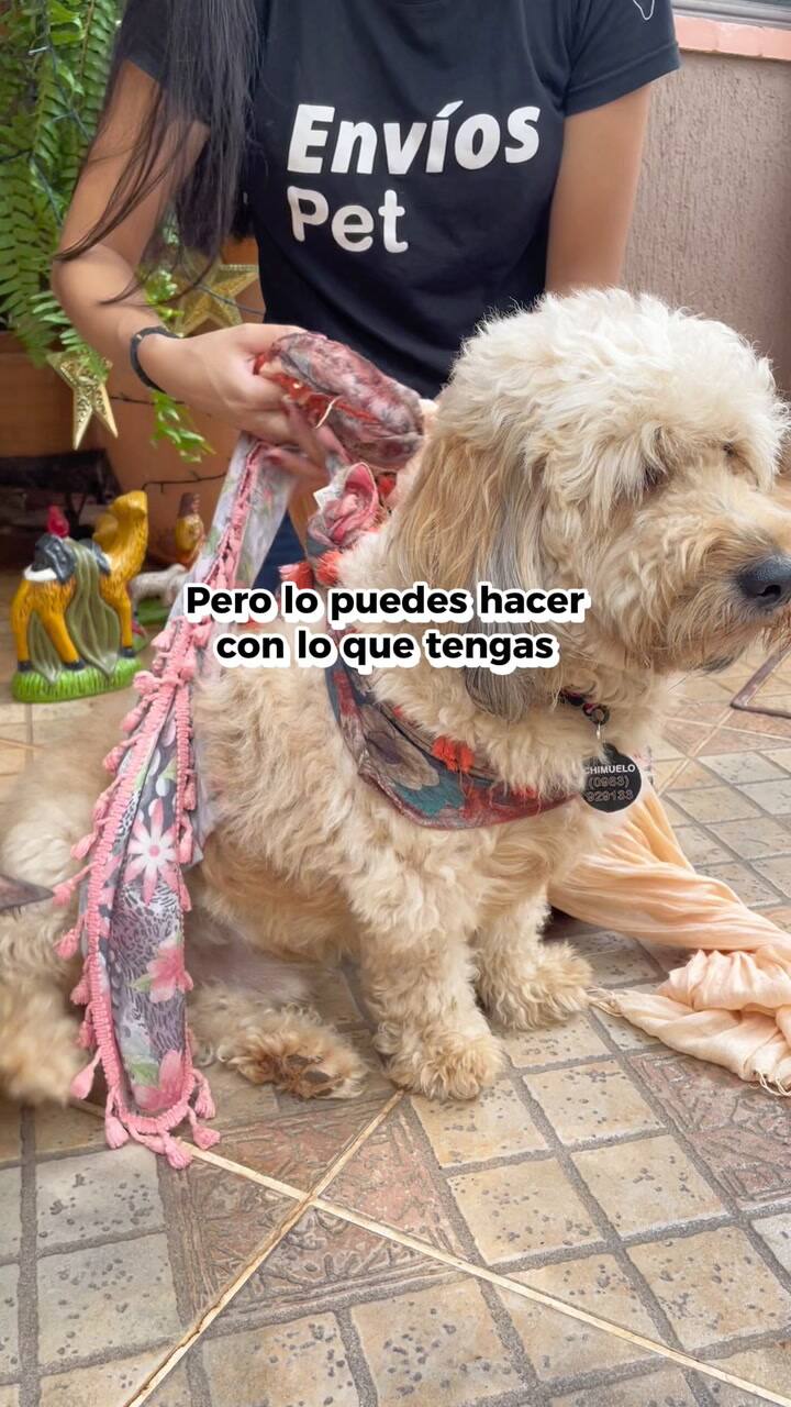 Método para cuidar al perro durante la pirotecnia