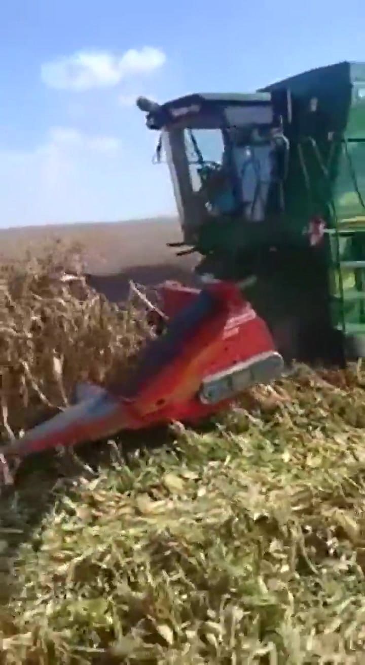 Cosecha de maíz en Inriville - Crédito: Juan Pablo Ioele