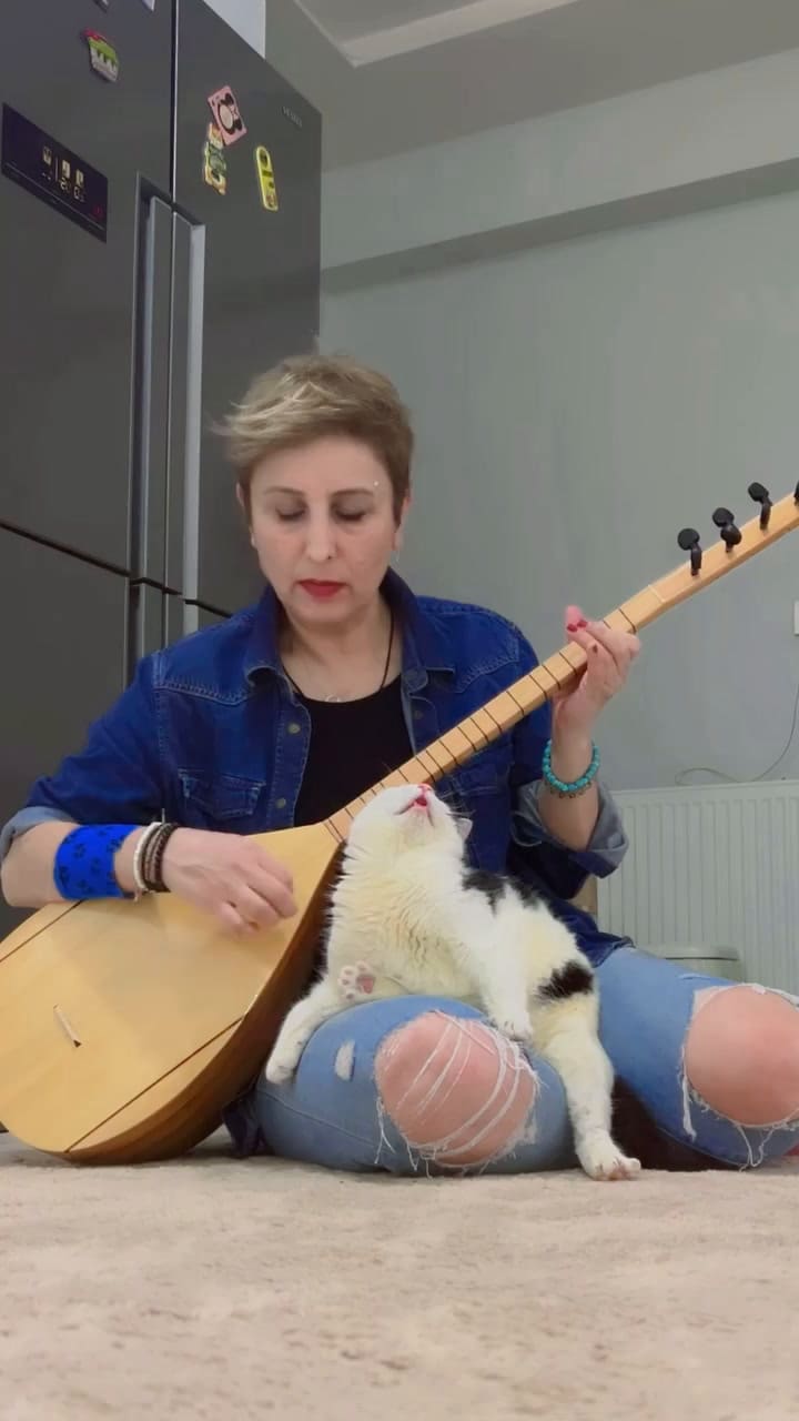 Keci, la gatita viral