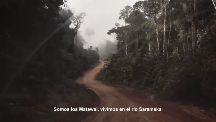 Trailer Surinam - El paraíso perdido