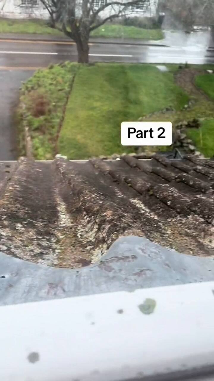 Hace un inesperado hallazgo en su casa