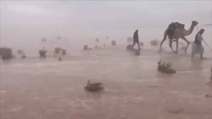 Los animales tuvieron que ser rescatados por campesinos para no quedar bajo el agua - Fuente YouTube