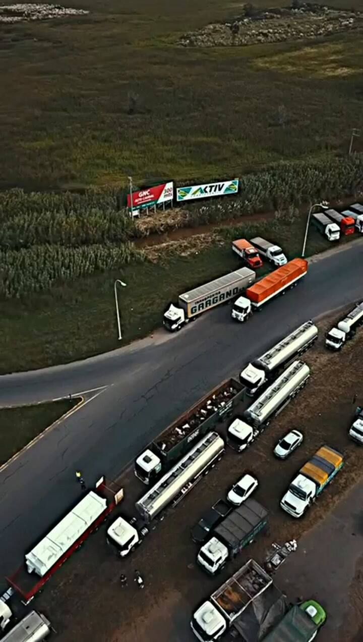 Los camiones a la vera de la ruta en Vicuña Mackenna