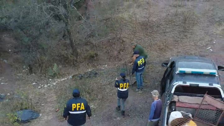 Cazadores furtivos 3