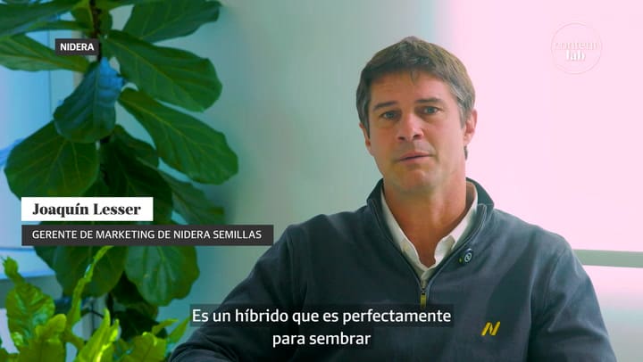 Inteligencia Artificial y genética. La fórmula para potenciar el rinde de maíz