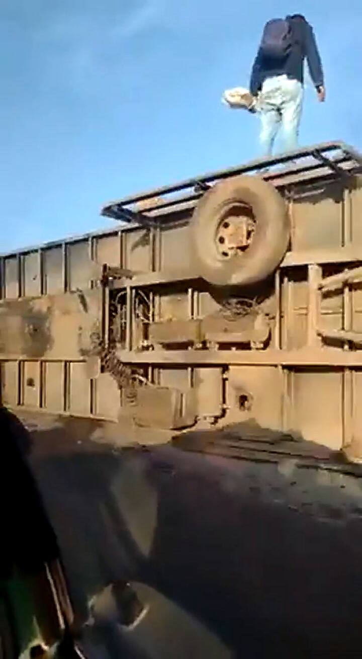 Un camión con 50 vacas volcó en Santa Fe y los vecinos las faenaron a todas