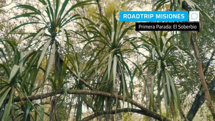 Por la ruta de la selva misionera