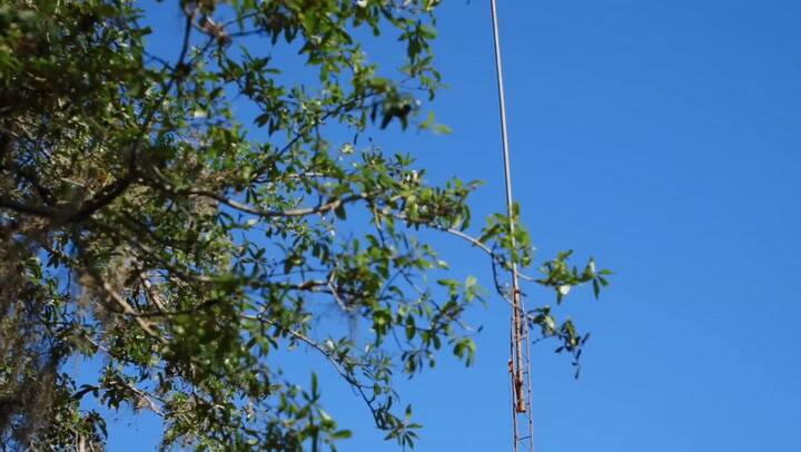 So... We Bought An Airport